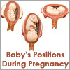 What Baby's Position