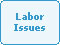 Labor Issues