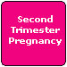 Second Trimester Pregnancy