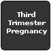 Third Trimester Pregnancy