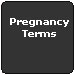 Pregnancy Terms